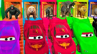 Paint & Animals Gorilla, Lion, Elephant, Bear, Behemoth Crossing  Water Slide Transformation Cartoon