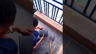 Rat baiting
