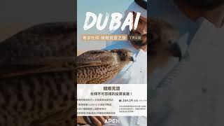 2025.06 杜拜 + 阿布達比賞屋團～