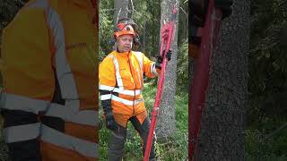 What Is a Stalpen Tree-jack, And How It Works
