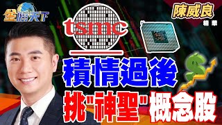 【精華】積情過後 挑＂神聖＂概念股？ 蘋果Tesla自研晶片 雲端商財報接力！#陳威良 #金臨天下 @tvbsmoney  20250721