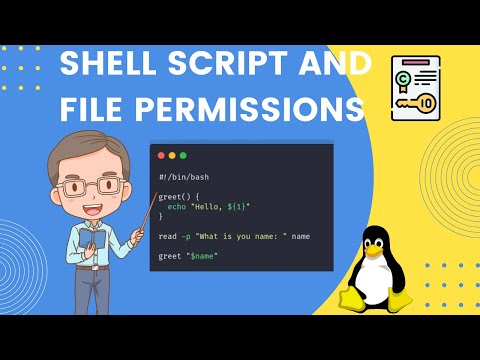 Shell Script and Linux File Permissions: IF ELSE, For Loop, Chmod, and Chown