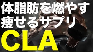 【体脂肪燃焼】CLA(共役リノール酸)の効果・摂取方法・副作用や危険性【筋トレ/ダイエットサプリ】