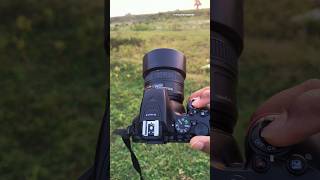 Nikon d5600 wait for results #youtubeshorts #shortsfeed #nikon #50mm