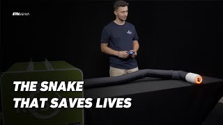 The Snake that Saves Lives