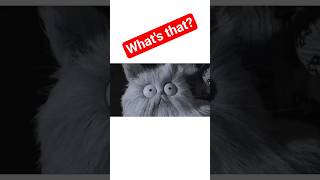 ¿Qué significa “obliterated”? 💥 | Inglés fácil