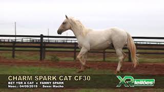 23   CHARM SPARK CAT CF30