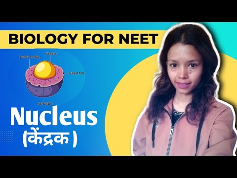 Nucleus | Structure of nucleus | Function of nucleus | #neet | Lt | Lecturer
