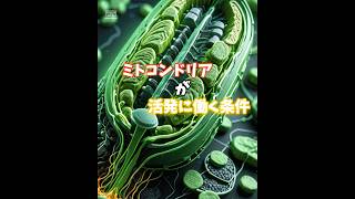 ミトコンドリアが活発に働く条件☝️ #shorts #健康 #食事 #運動 #睡眠 #ミトコンドリア #エネルギー #がん #がん予防