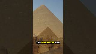 Exodus: The Egyptian Version 🔎