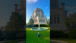 dancing #dance #video #music #ukraine #smartminds #love #happy#prayer #god#reels #shortvideo #funny