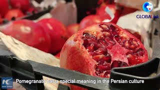 GLOBALink | A festival of pomegranate in Tehran