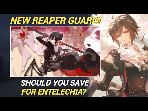 Should You Save For Entelechia? [Arknights]