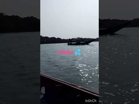 ଚିଲିକା ର ଏକ ମନଲୋଭା ଦୃଶ୍ୟ #new #trending  #ytshortsvideo