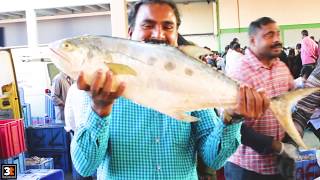 Fish market in Saudi Arabia / Jubail Fish Market / channel3t