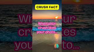 Mind Mingle: The Surprising Truth Behind the Crush Fact and the Social Media Guru Effect