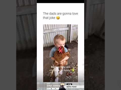 Why Did the Chicken Cross the Road? 😂🐔 | The “Because” Joke You Need!