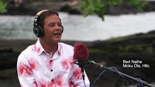 Project KULEANA Nā Moʻo o Hilo presents “Hilo Hula”