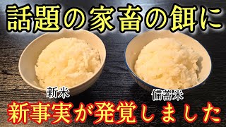 話題の備蓄米に新事実が発覚しました