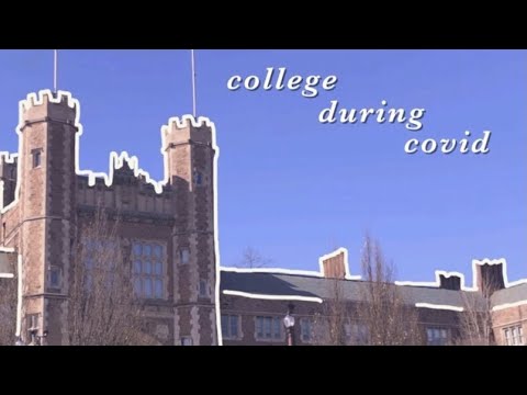 what college during covid is *really* like (loneliness, zoom classes, stress)