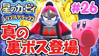 The secret boss, Dark Dedede, appears!! Conquering the path to becoming the true fighting king!! ...