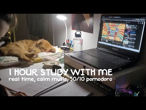 1 Hour Study With Me | Rainy Day & Calm Music, Real Study, 10 Minute Break, Pomodoro