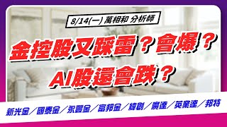 金控股又踩雷？會爆？AI股還會跌？新光金／國泰金／永豐金／富邦金／緯創／廣達／英業達／邦特 | 20230814【萬事達Channel_萬相和】