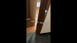 呼びに来る犬【関西弁でしゃべる犬】 #167 The dog that comes to call [Dog talking in Kansai dialect] #shorts