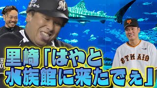 【サットレ】里崎「はやとと水族館に来たでぇ」【大天使】  #野球