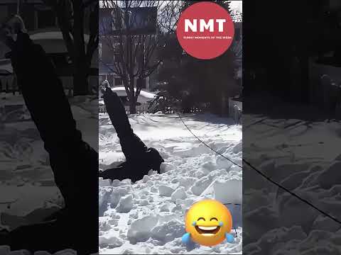 Funny Fails Of The Week #65 - Try Not To Laugh #fail #failarmy #funnyvideo