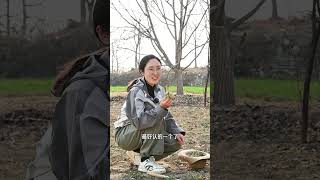 到底哪个才是真正的荠菜呀！（十字花科荠属） 植物科普 中草药 挖野菜 大自然的馈赠 涨知识