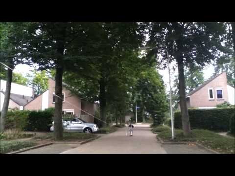 elastiek bal schieter