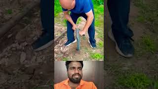 குழி தோண்ட சூப்பர் கருவி! 🛠️🌳 #holedigger #gardeningtools #diyhacks #tamil #shorts