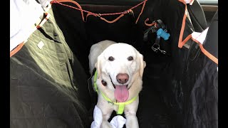 iBuddy Dog Hammock Seat Cover Review - Tesla Model X