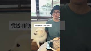 本週支出公開!  為何我選擇財務裸奔