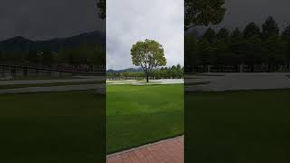 비오는 날 순천만국가정원 산책 #순천만국가정원 #순천 #정원
