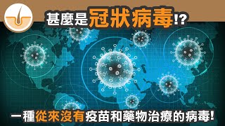 甚麼是冠狀病毒？一種從來沒有疫苗和藥物治療的病毒(繁體中文字幕)