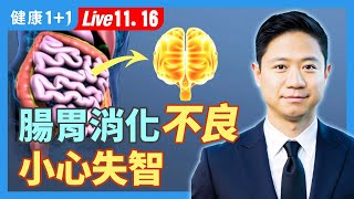 腸道影響大腦，和失智症關聯，長期便祕要注意；返酸、胃痛，6症狀小心罹癌！（2024.11.16）| 健康1+1 · 直播