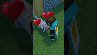 Tips & Tricks for your Minecraft Survival World (part 5)
