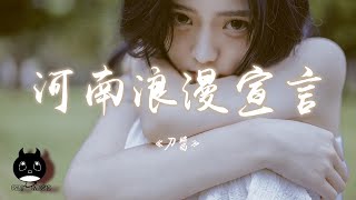刀醬 - 河南浪漫宣言『你的眼神凍結時間定格那個夏天，在我們倆之間閃回無數畫面。』【動態歌詞 | Pinyin Lyrics】【PENGUIN MUSIC】