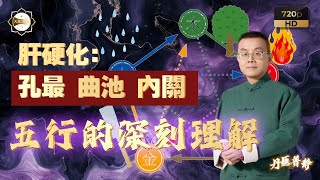 【中醫基礎】針灸治療肝硬化：「孔最」 「曲池」 「內關」 |   對五行的深刻理解決定了治療的高度【玄普門丹醫普靜】