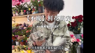 鲜花和“毛孩”是治愈生活的双重浪漫！ 【不晚】一家有猫的花店分享给各位朋友。#萌宠 #铲屎官 #景东宠物店 #猫咪 #景东花店