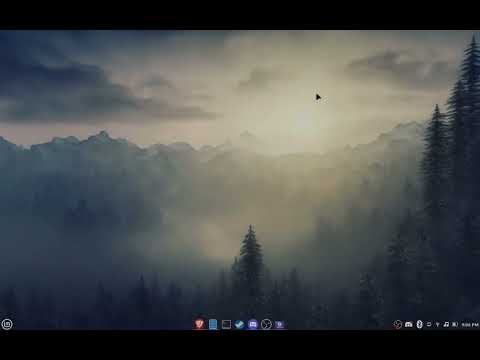 Light Linux Mint Ricing