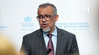 Gaza facing man-made 'mass starvation', says WHO's Tedros