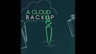 Protect Your Data