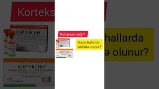 Beyin qan dövranı pozulması, kəllə beyin travması, koqnitiv pozğunluq, ensefalomielit,  Korteksin