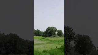kheti badi farming #viral #love #viral #ytshortsk