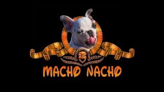 Macho Nacho: CrossFit Dog