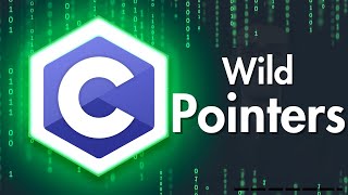[16] C Programming | Wild Pointer | شرح عربي