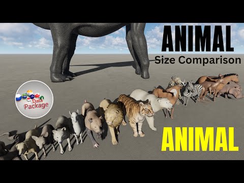 Smallest to Largest Animals (ANIMAL SIZE Comparison) 3D